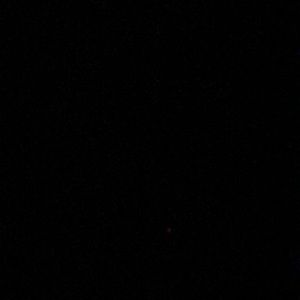 Meet your Posher, Nereida